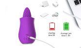 Powerful 10 Speeds Clit Licking Massager Tongue G spot Vibrator Sex Toy